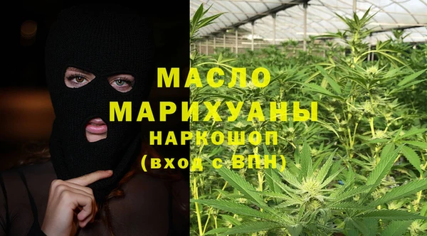 хмурый Аркадак