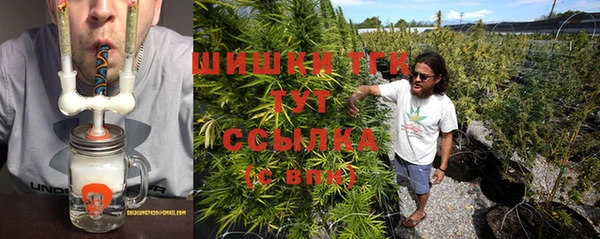 хмурый Аркадак