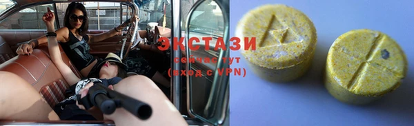 хмурый Аркадак