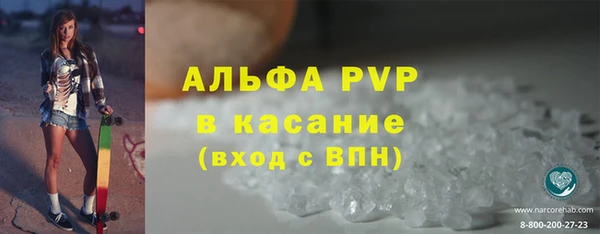 хмурый Аркадак