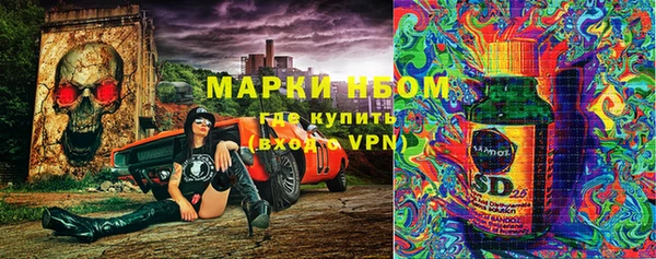 хмурый Аркадак