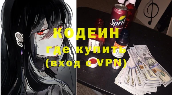 хмурый Аркадак