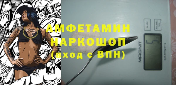 хмурый Аркадак